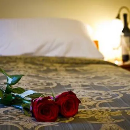 酒店 布罗池餐厅酒店 *